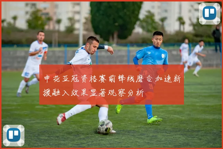 申花亚冠资格赛前锋线磨合加速新援融入效果显著观察分析